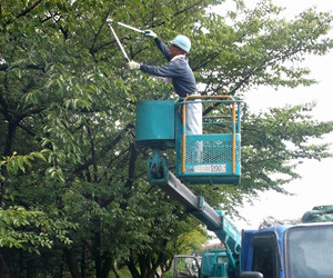 一般造園工事