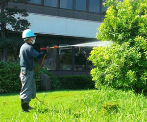 一般造園工事